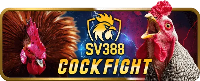 Dịch vụ khách hàng 88cbl